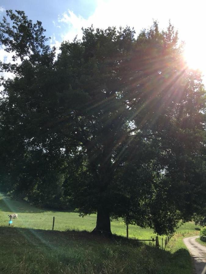 Gite:"Sur Le Chemin" Livinhac-le-Haut Dış mekan fotoğraf